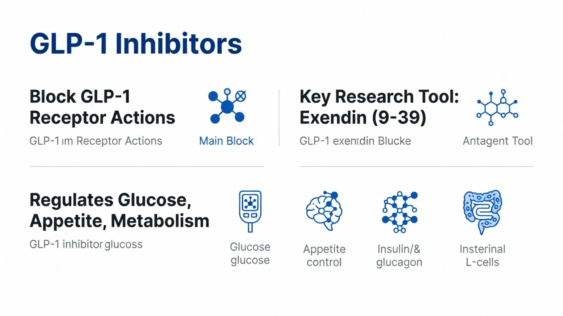 GLP-1 Inhibitors Diagram showing Block GLP-1 Receptor Actions, Key Research Tool Exendin (9-39), and Regulation of Glucose, Appetite, and Metabolism